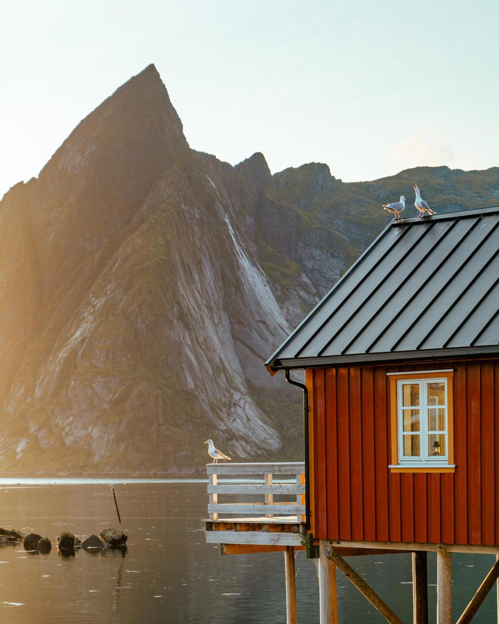 Reinefjorden Sjohus Lejlighed Eksteriør billede